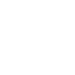 DeepSeek